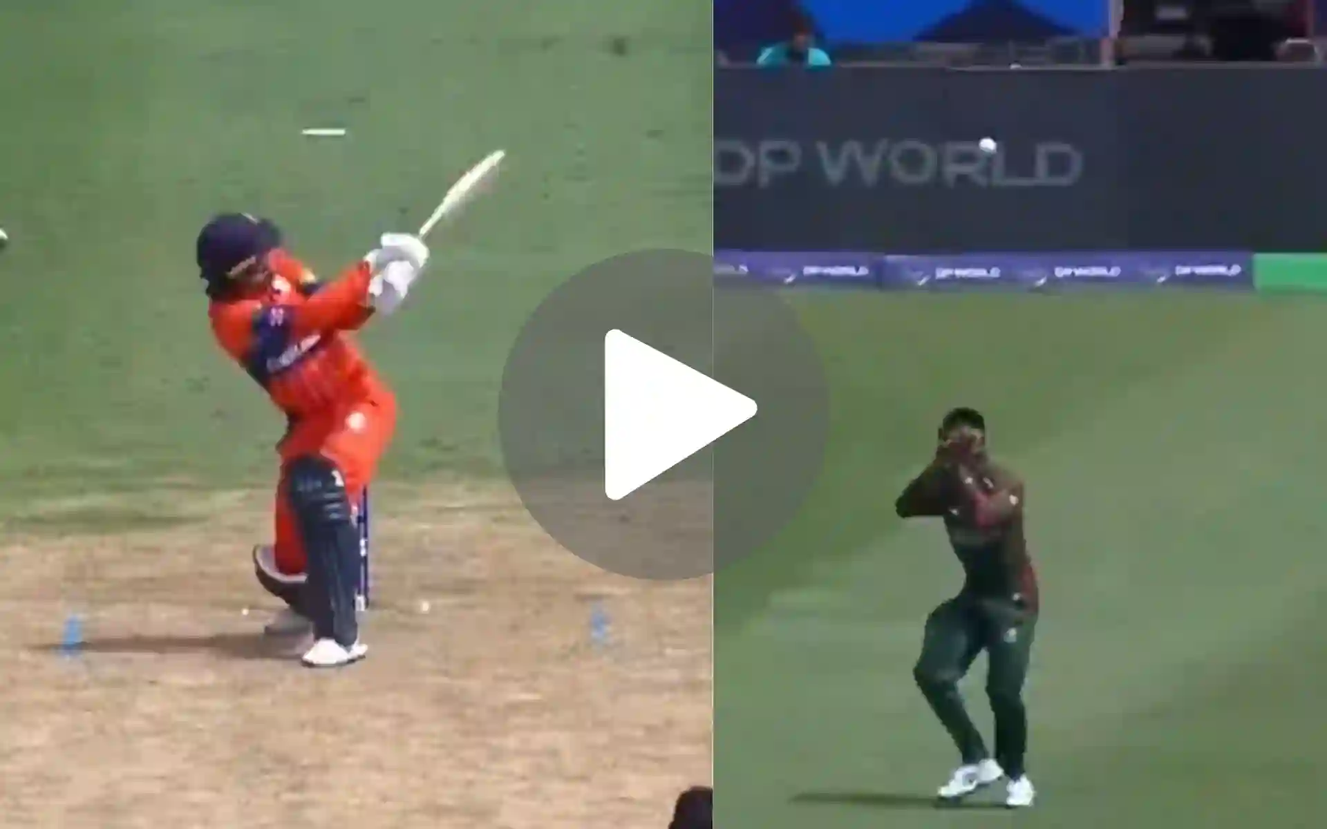 [Watch] CSK's Mustafizur Puts Final Nail Of Dutch Coffin; Scott Edwards Bites The Dust